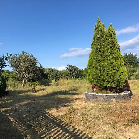 Tatil Evi Due Palme - Vicino Giardini Naxos -